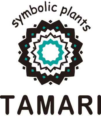 ガーデニング・造園をお考えなら、大府市の農場直販の植物・植木販売店『TAMARI（タマリ）』へ。